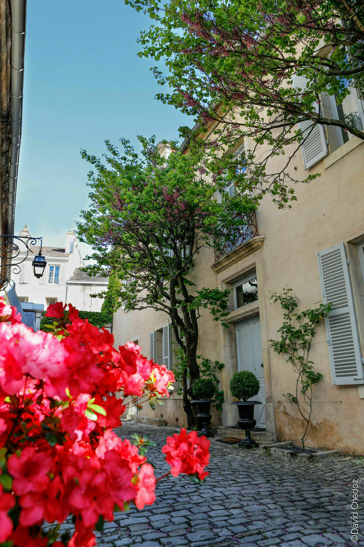 La Cour Berbisey - Teritoria Hotell Dijon Exteriör bild