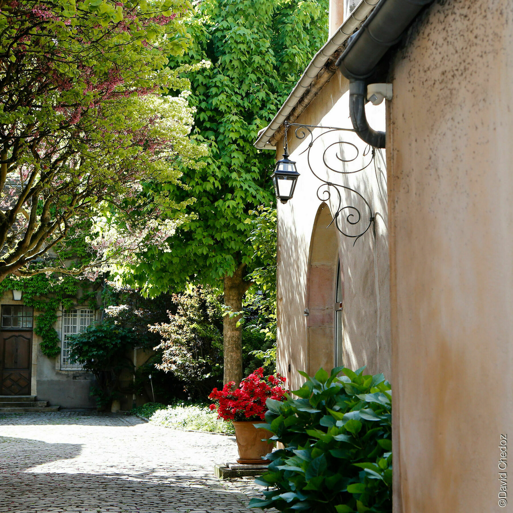 La Cour Berbisey - Teritoria Hotell Dijon Exteriör bild